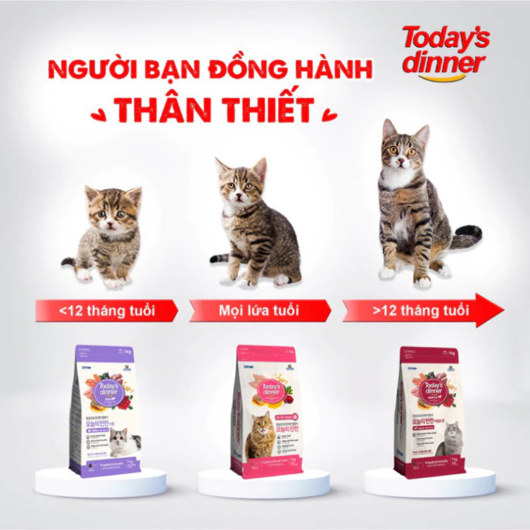 Thức Ăn Hạt Cho Mèo Con Today's Dinner Gói 1kg Hỗ Trợ Miễn Dịch Và Răng Miệng