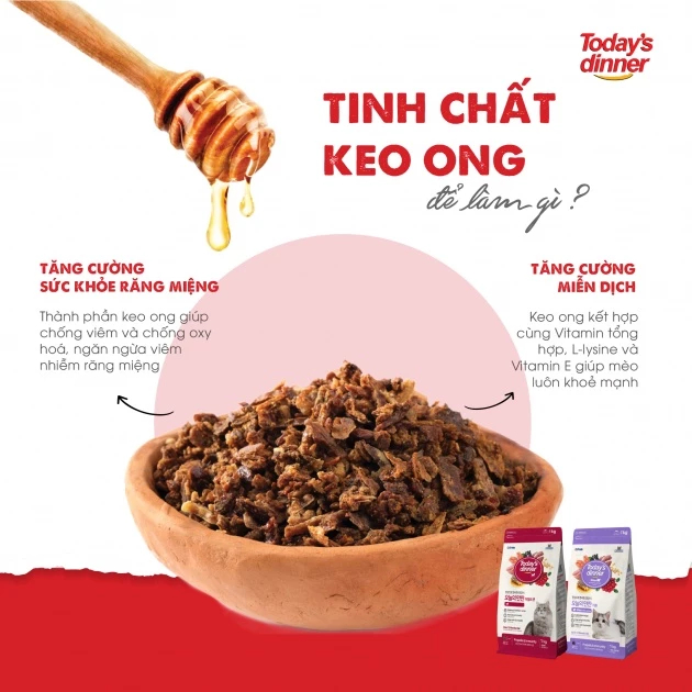 Thức Ăn Hạt Cho Mèo Con Today's Dinner Gói 1kg Hỗ Trợ Miễn Dịch Và Răng Miệng