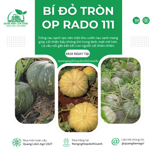 Hạt giống Bí Đỏ Tròn Op Rado 111 (5gram~40 hạt) trái to, nặng, thịt dày, ngọt