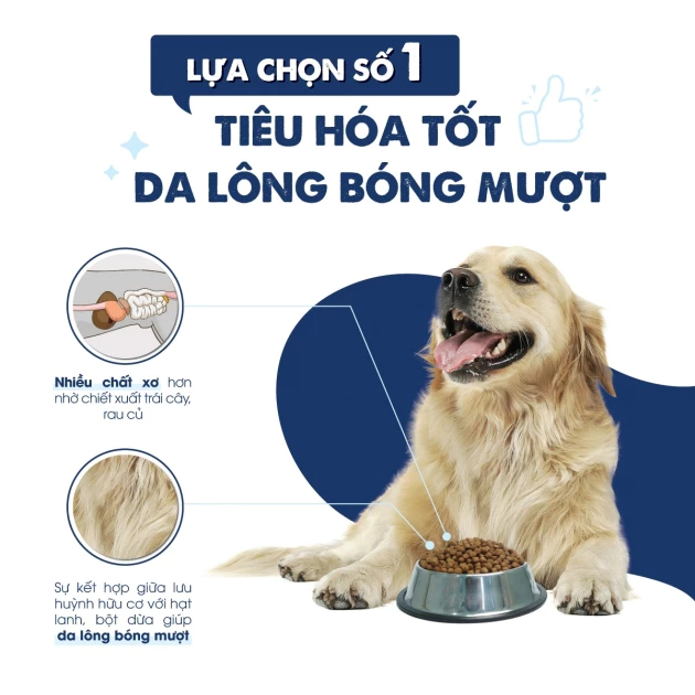 Thức Ăn Hạt Cho Chó Lớn Today's Dinner Gói 1kg Vị Gà Hỗ Trợ Tiêu Hóa Và Giảm Mùi Hôi Chất Thải