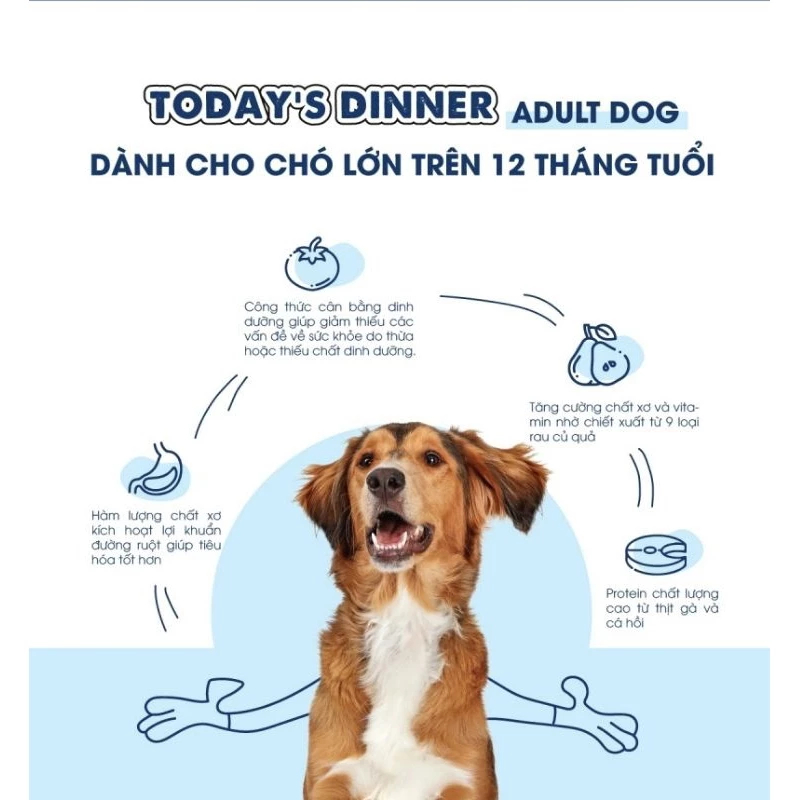 Thức Ăn Hạt Cho Chó Lớn Today's Dinner Gói 1kg Vị Gà Hỗ Trợ Tiêu Hóa Và Giảm Mùi Hôi Chất Thải