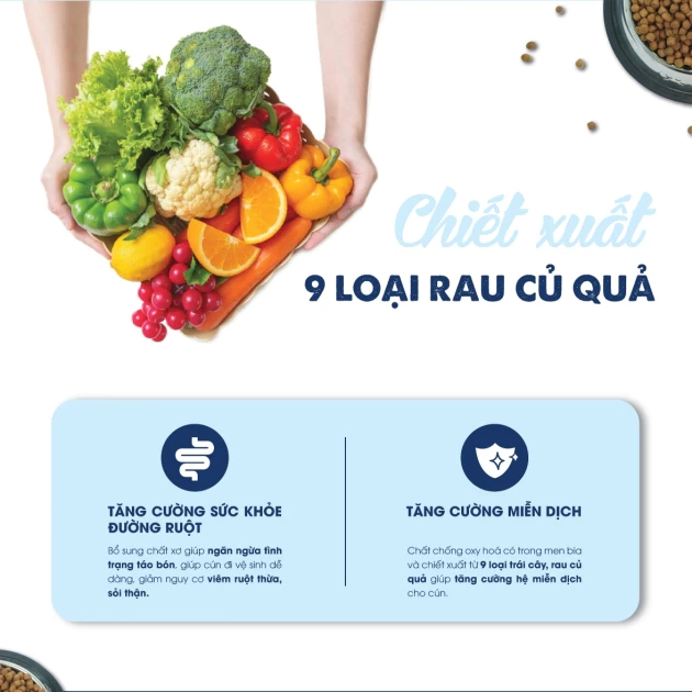 Thức Ăn Hạt Cho Chó Lớn Today's Dinner Gói 1kg Vị Gà Hỗ Trợ Tiêu Hóa Và Giảm Mùi Hôi Chất Thải