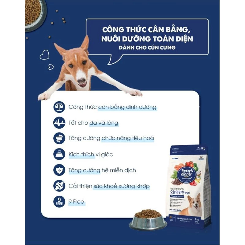 Thức Ăn Hạt Cho Chó Lớn Today's Dinner Gói 1kg Vị Gà Hỗ Trợ Tiêu Hóa Và Giảm Mùi Hôi Chất Thải