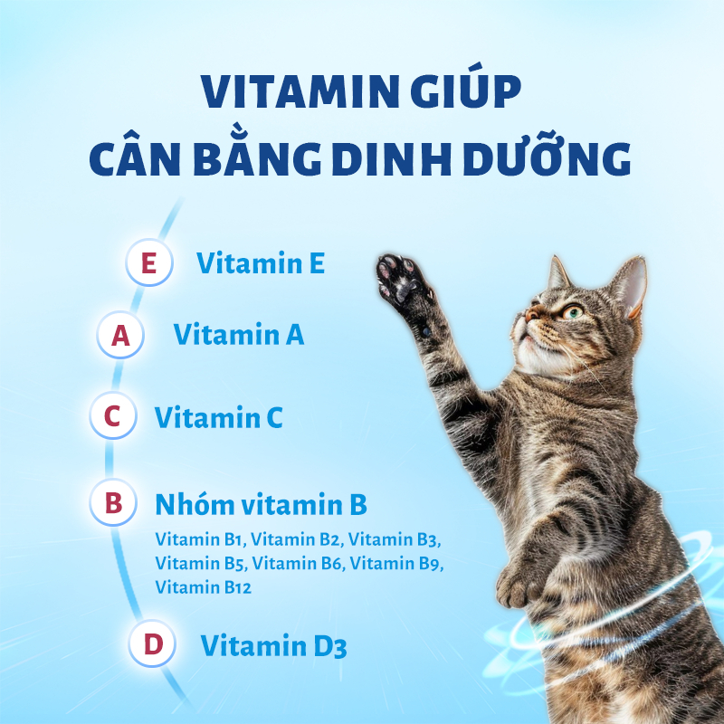 Hạt Cho Mèo Mr.Vet T4 Holistic 1kg Công Thức 6 Loại Cá Cho Mèo Mọi Lứa Tuổi