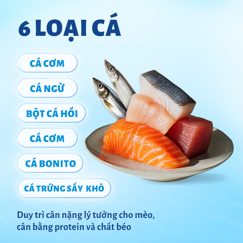 Hạt Cho Mèo Mr.Vet T4 Holistic 1kg Công Thức 6 Loại Cá Cho Mèo Mọi Lứa Tuổi