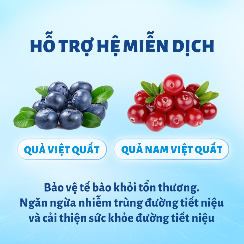 Hạt Cho Mèo Mr.Vet T4 Holistic 1kg Công Thức 6 Loại Cá Cho Mèo Mọi Lứa Tuổi