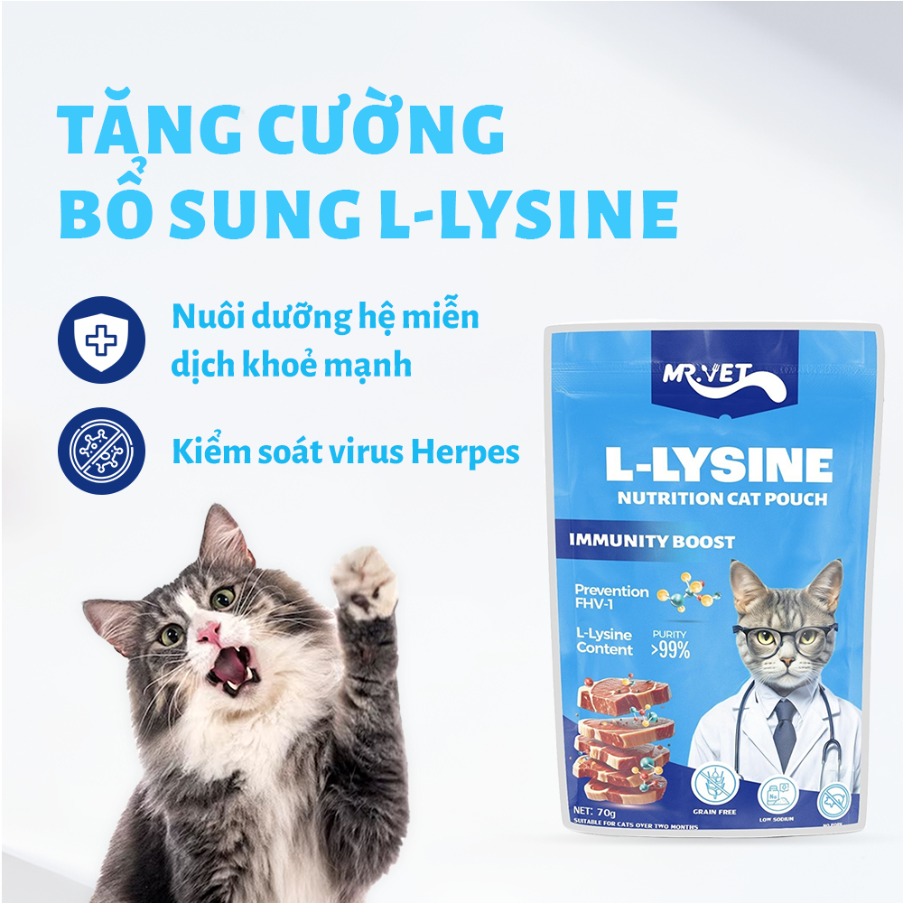 Pate Cho Mèo MR.VET Gói 70g Bổ Sung Omega 3 Vitamin L-Lysine Cho Mèo Từ 2 Tháng Tuổi