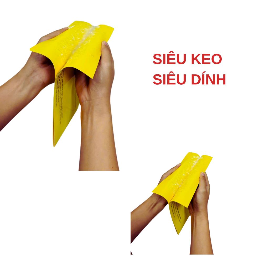 Ảnh Bẫy ruồi vàng 2 mặt siêu dính miếng dán diệt côn trùng bảo vệ mùa màng cây ăn quả 3