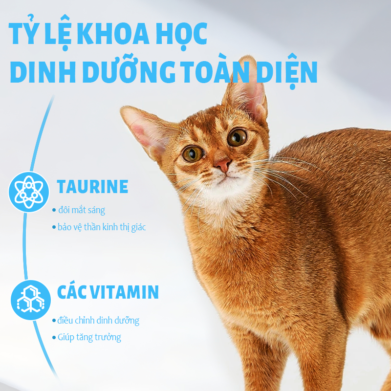 Hạt Cho Mèo MR.VET T1 Holistic 1kg Mix Topping Thịt Đông Khô Cho Mọi Lứa Tuổi