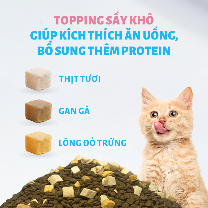 Thức Ăn Hạt Cho Mèo MR.VET T2 Gói 1KG Không Ngũ Cốc Tăng Cường Omega 3 Hỗ Trợ Mượt Lông