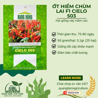 Hạt giống Ớt Hiểm Chùm Lai F1 Cielo 503 (0,1gram~25 hạt) chịu nhiệt tốt, năng suất cao, dễ chăm sóc