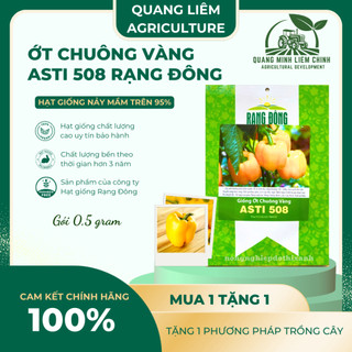 Hạt giống Ớt Chuông Vàng Asti 508 (0,5gram~25 hạt) trái sai, thích hợp khí hậu mát