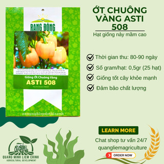 Hạt giống Ớt Chuông Vàng Asti 508 (0,5gram~25 hạt) trái sai, thích hợp khí hậu mát