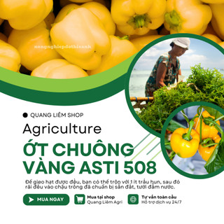 Hạt giống Ớt Chuông Vàng Asti 508 (0,5gram~25 hạt) trái sai, thích hợp khí hậu mát