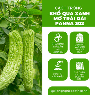 Hạt giống Khổ Qua Xanh Mỡ Trái Dài Panna 302 (5 hạt) dễ chăm sóc, cây khỏe