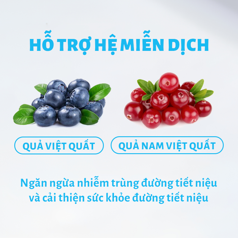 Thức Ăn Cho Mèo MR.VET T3 1KG Công Thức Chuyên Biệt Hỗ Trợ Sức Khỏe Đường Tiết Niệu