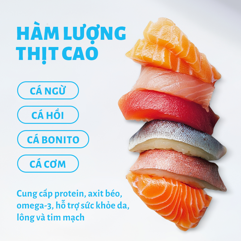 Thức Ăn Cho Mèo MR.VET T3 1KG Công Thức Chuyên Biệt Hỗ Trợ Sức Khỏe Đường Tiết Niệu
