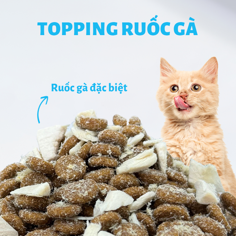 Thức Ăn Cho Mèo MR.VET T3 1KG Công Thức Chuyên Biệt Hỗ Trợ Sức Khỏe Đường Tiết Niệu