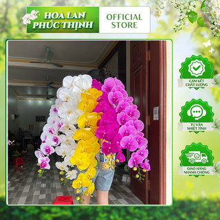 lan  cao su ướt 15 bông thân đốm , cành dài 140cm hàng cao cấp