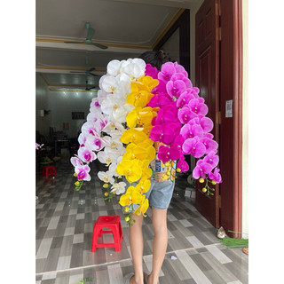 lan  cao su ướt 15 bông thân đốm , cành dài 140cm hàng cao cấp