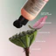Nước sen Hậu Giang Cocoon 310ml - Toner phục hồi đa nhiệm cho da rất nhạy cảm