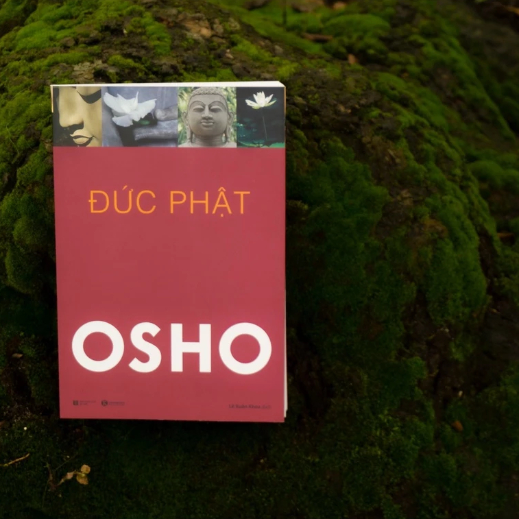Ảnh Sách - Bộ 10 Cuốn OSHO : Đạo, Tantra, Đức Phật, Thiền, Upanishad, Đàn ông, Phụ nữ, Ươm mầm, Bản ngã, Ba bước tỉnh thức. 3