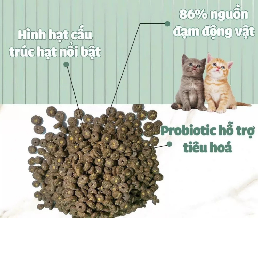 Hạt Cho Mèo Cats On Mix T và Mix R gói 350g Từ Hàn Quốc Không Ngũ Cốc Mix Ruốc Cho Mọi Lứa Tuổi