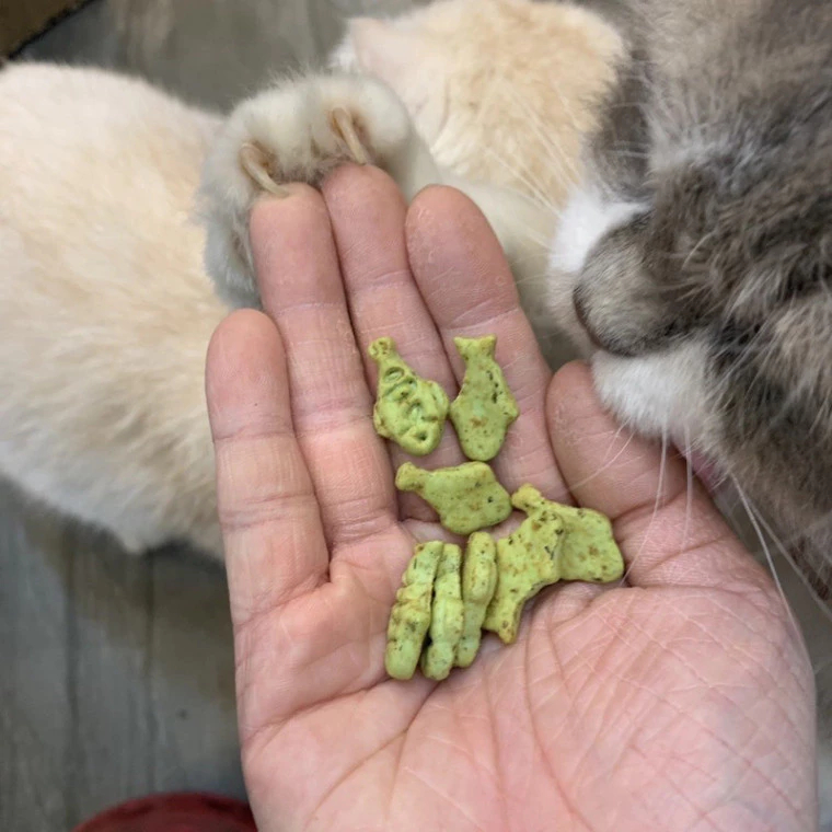 Bánh Thưởng Cho Mèo Catnip Biscuits 40g Hỗ Trợ Tiêu Búi Lông Giảm Hôi Miệng