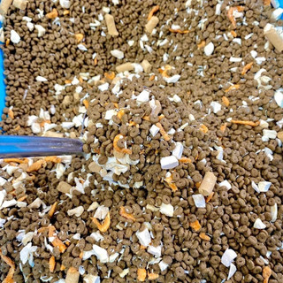 Hạt cho mèo LANGLIKE siêu topping, đạm 42% túi chiết - Thức ăn Hạt LANGLIKE không độn ngũ cốc cho mèo mọi lứa tuổi