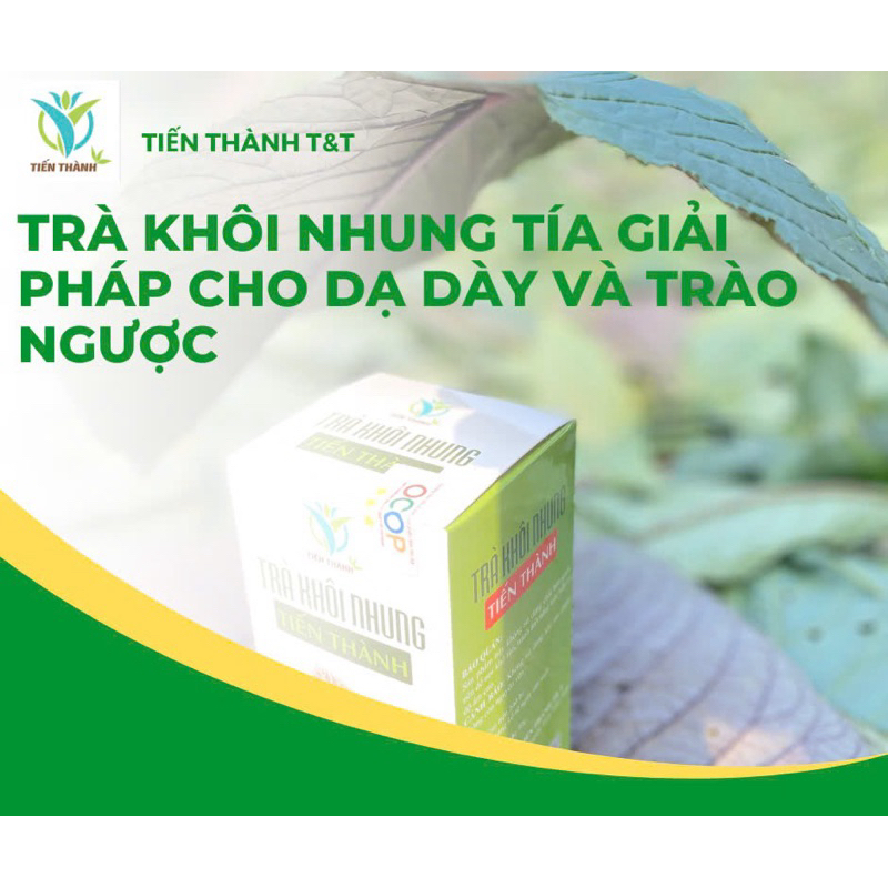 3 hộp Trà khôi nhung tía, Hỗ trợ các vấn đề dạ dày, trào ngược dạ dày, #thaomoc,#khoinhungtia