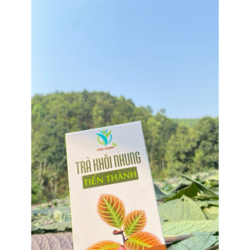 1 Hộp Trà lá cây Khôi Nhung  tía, hỗ trợ dạ dày, trào ngược 4 vị, hộp 30 túi lọc tiện lợi #daday #lakhoitia #traonguoc