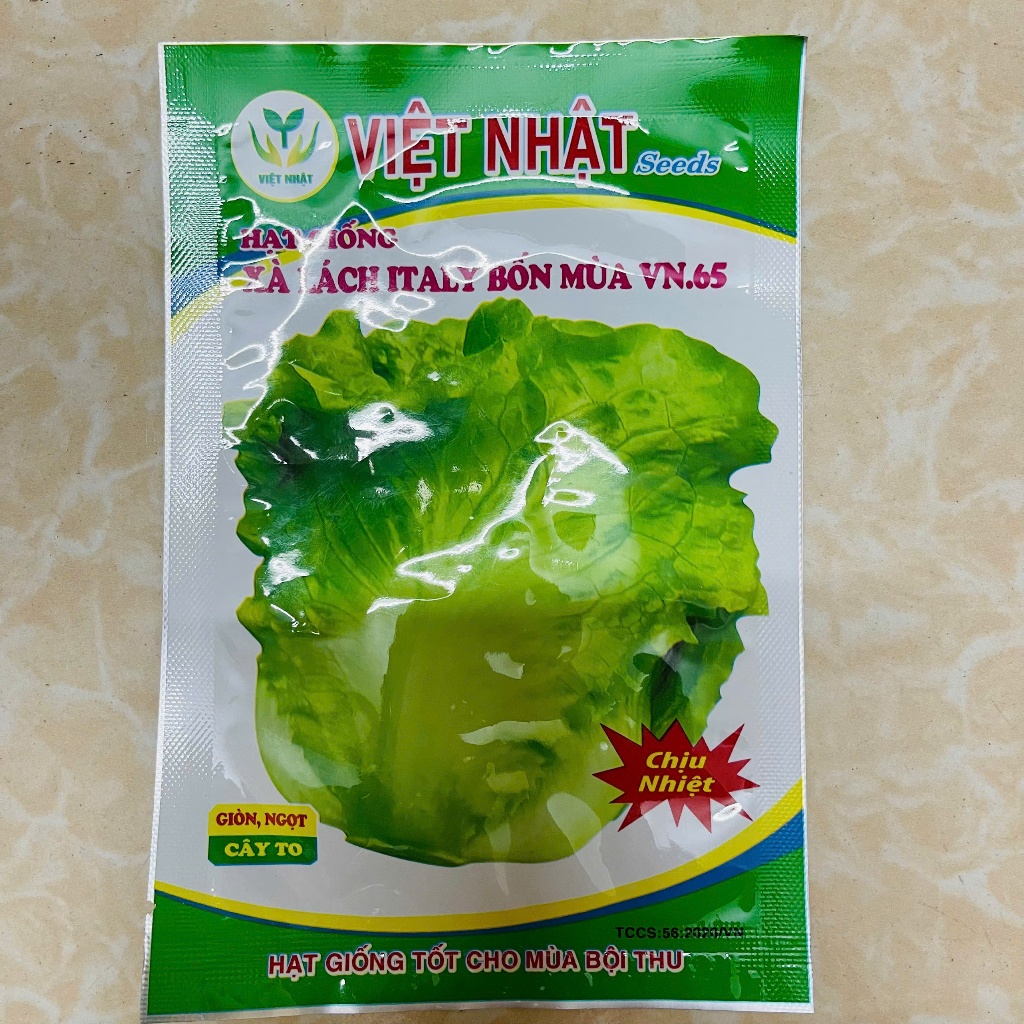 Hạt giống rau xà lách Ytaly chịu nhiệt chịu mưa