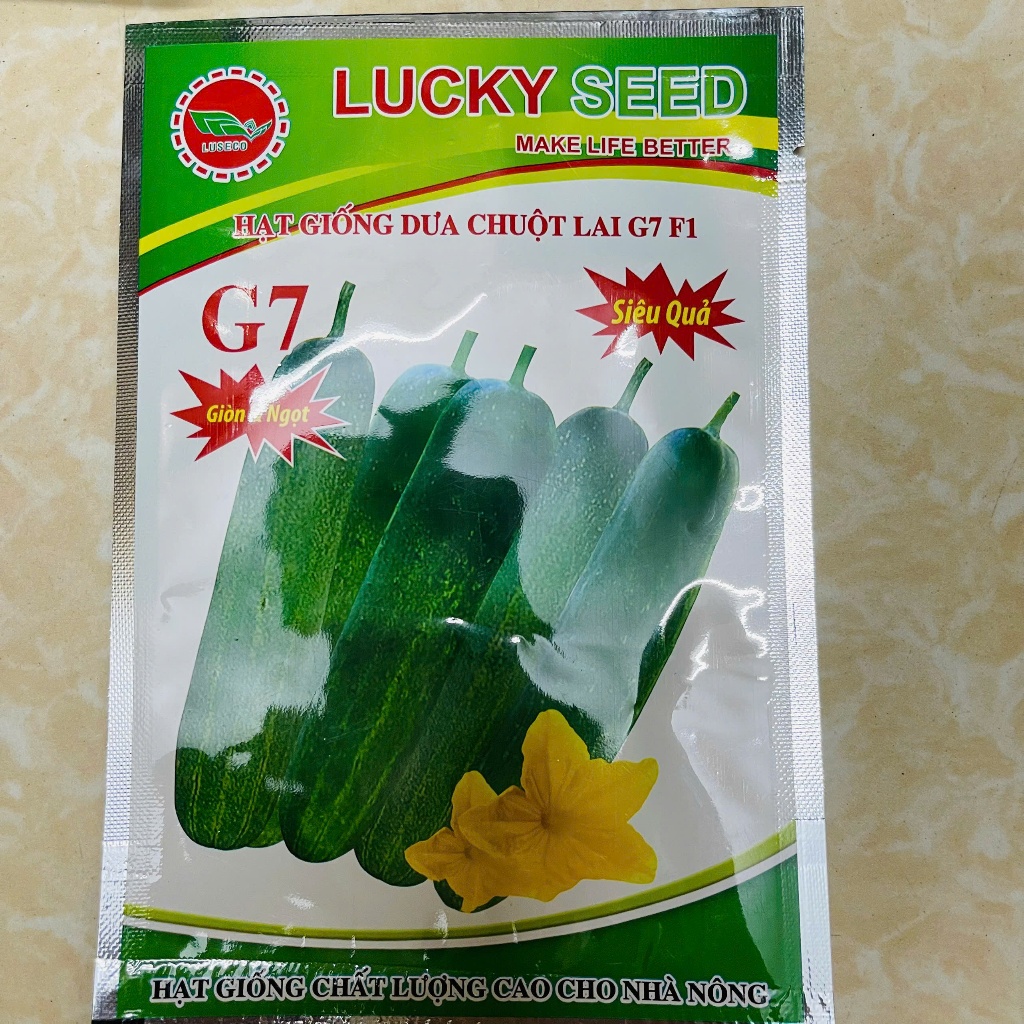 Hạt giống Dưa Chuột Nếp Lai F1