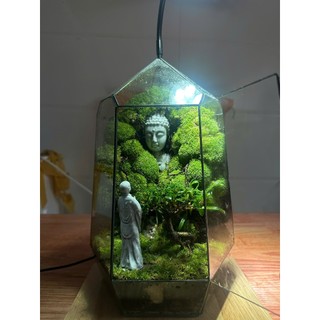 Terrarium " Tịnh Độ Ngũ Hành "