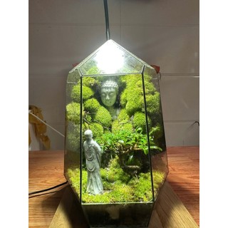 Terrarium " Tịnh Độ Ngũ Hành "