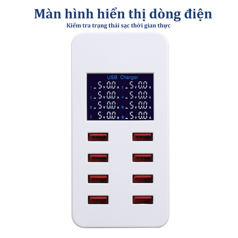 Ảnh 5
