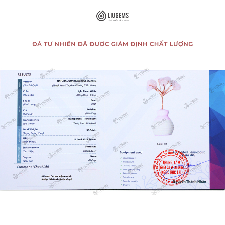 Cây Đá Năng Lượng Liugems Mix Đá Phong Thủy Nhiều Ý Nghĩa Tích Cực Trang Trí Bàn Học Bàn Làm Việc PK22