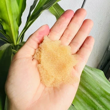 (1L = 800g) Hạt Cation resin làm mềm nước (Hạt nhựa Extrepure)