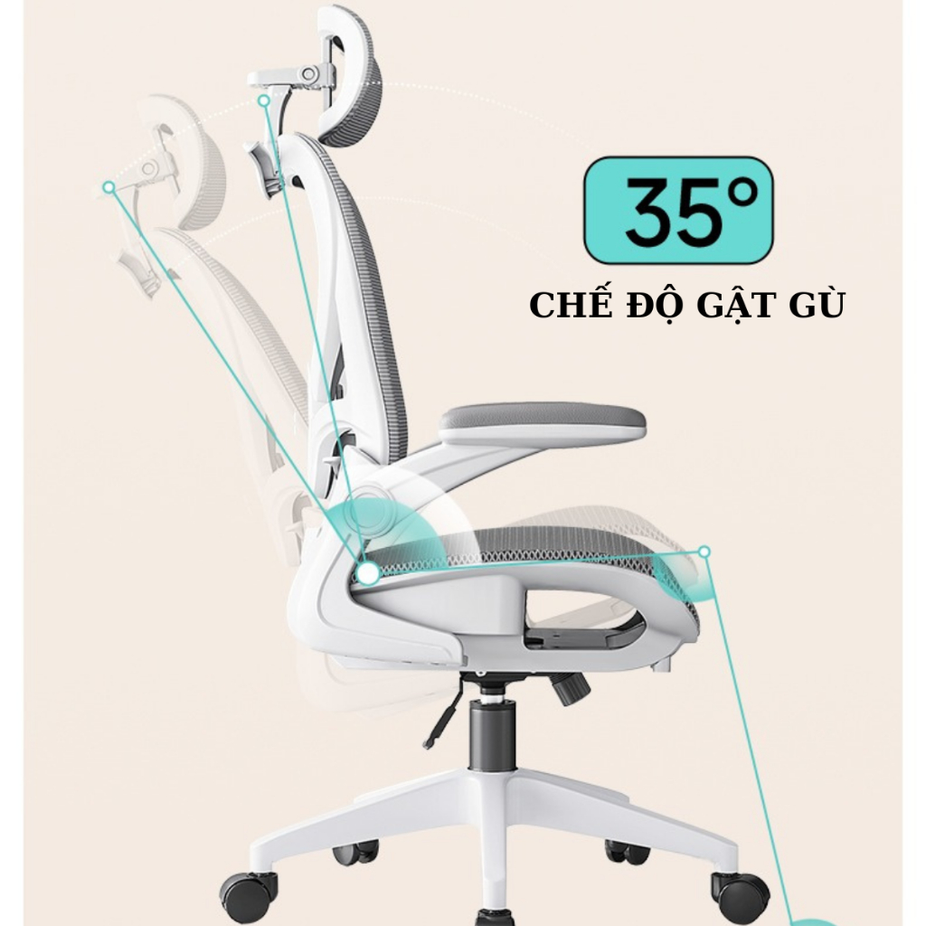 Ghế Công Thái Học CTH99, CTH38 Full Lưới Cao Cấp | BigBuy360 - bigbuy360.vn