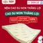 Nệm Cao Su Non Thắng Lợi Chính Hãng - Êm Ái - Đàn Hồi - Nâng Đỡ Cơ Thể - BH Xẹp Lún 15 năm - Tặng Ga Cotton