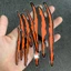 Vết cào xước MÀU CAM, hình dán trang trí xe máy, xe ôtô, nón, điện thoại... Decal chống nước