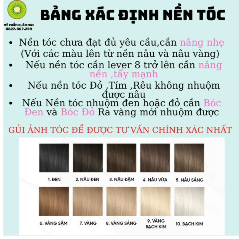 Thuốc tẩy tóc Promax 500gr , Bột tẩy tóc cao cấp không xót da đầu, lên tone nhanh| Trunghair