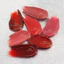 Son Kem MERZY Glam Mellow Tint GM01 - GM06
