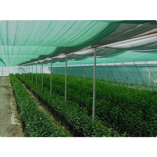 [Khổ 3M] Lưới che nắng Thái Lan màu đen - Độ che phủ 50% 60% 70% - Nhiều kích thước