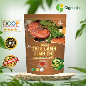 Trà túi lọc Thìa Canh Linh Chi Gigaherbs - hỗ trợ ổn định đường huyết, tăng cường khả năng miễn dịch túi 250g (60 túi)