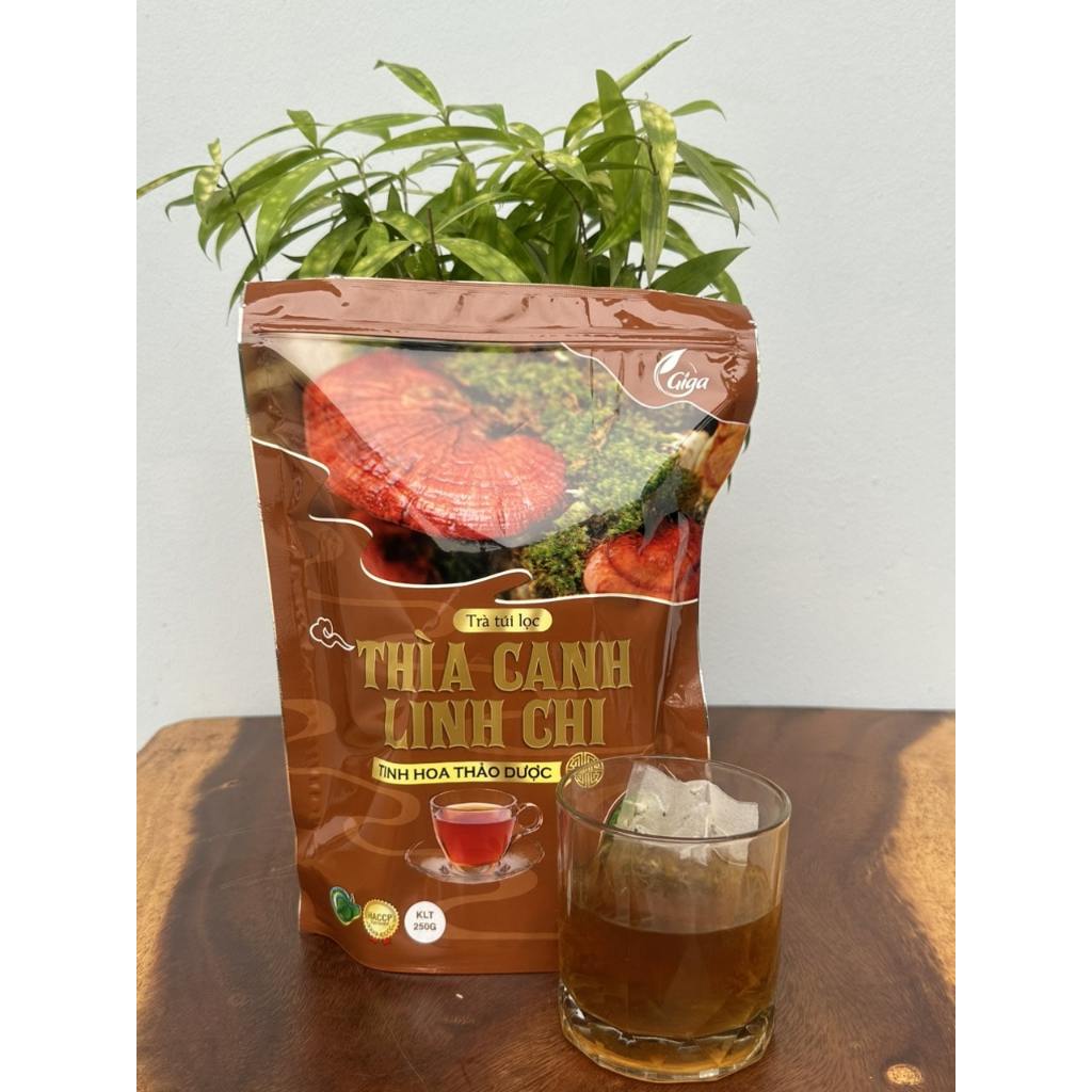 Trà túi lọc Thìa Canh Linh Chi Gigaherbs - hỗ trợ ổn định đường huyết, tăng cường khả năng miễn dịch túi 250g (60 túi)