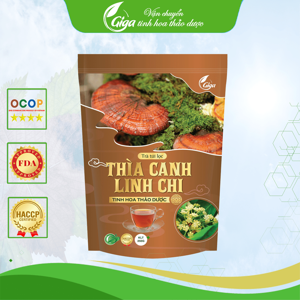 Trà túi lọc Thìa Canh Linh Chi Gigaherbs - hỗ trợ ổn định đường huyết, tăng cường khả năng miễn dịch túi 250g (60 túi)