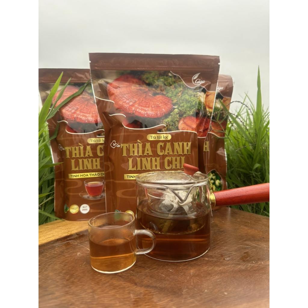 Trà túi lọc Thìa Canh Linh Chi Gigaherbs - hỗ trợ ổn định đường huyết, tăng cường khả năng miễn dịch túi 250g (60 túi)