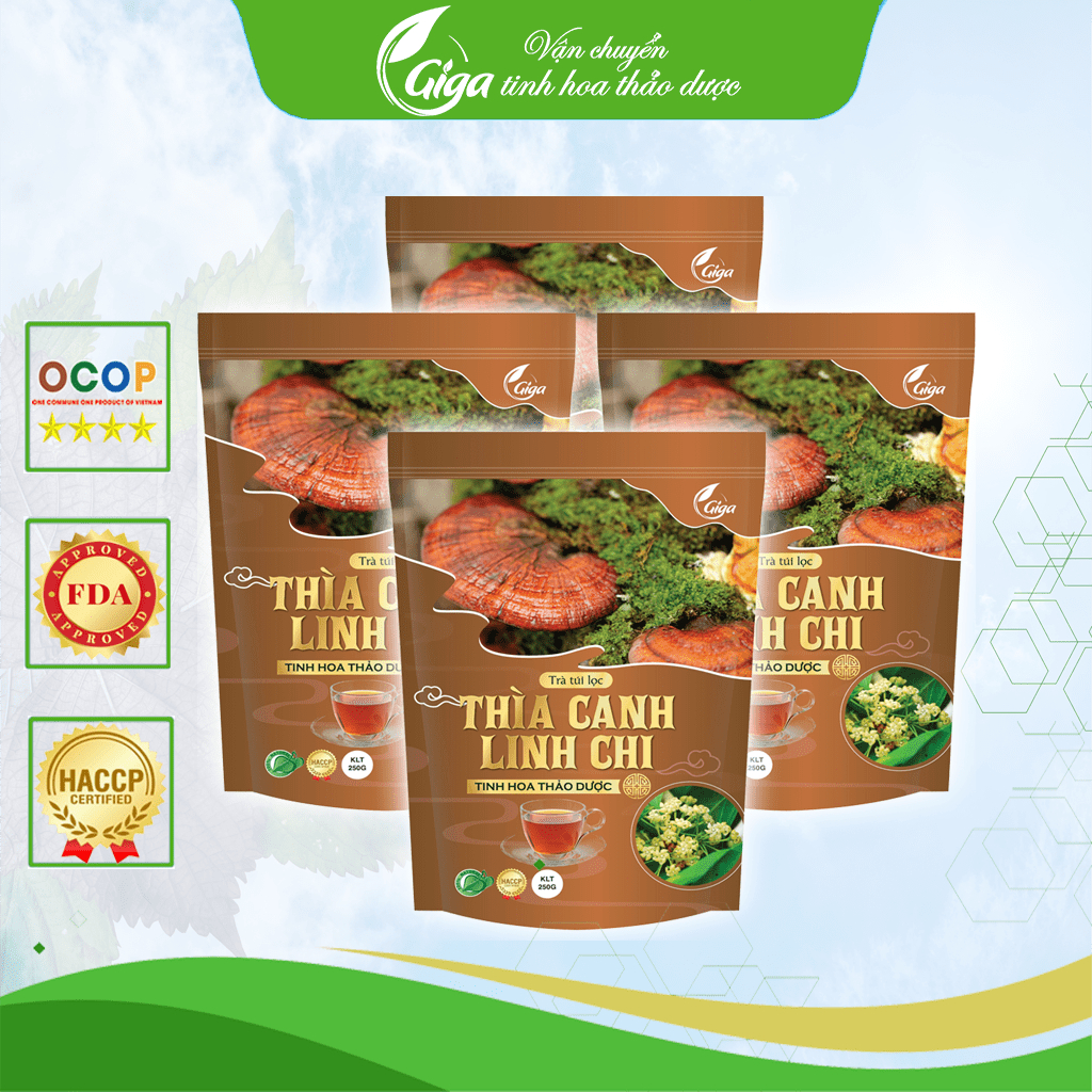 Trà túi lọc Thìa Canh Linh Chi Gigaherbs - hỗ trợ ổn định đường huyết, tăng cường khả năng miễn dịch túi 250g (60 túi)