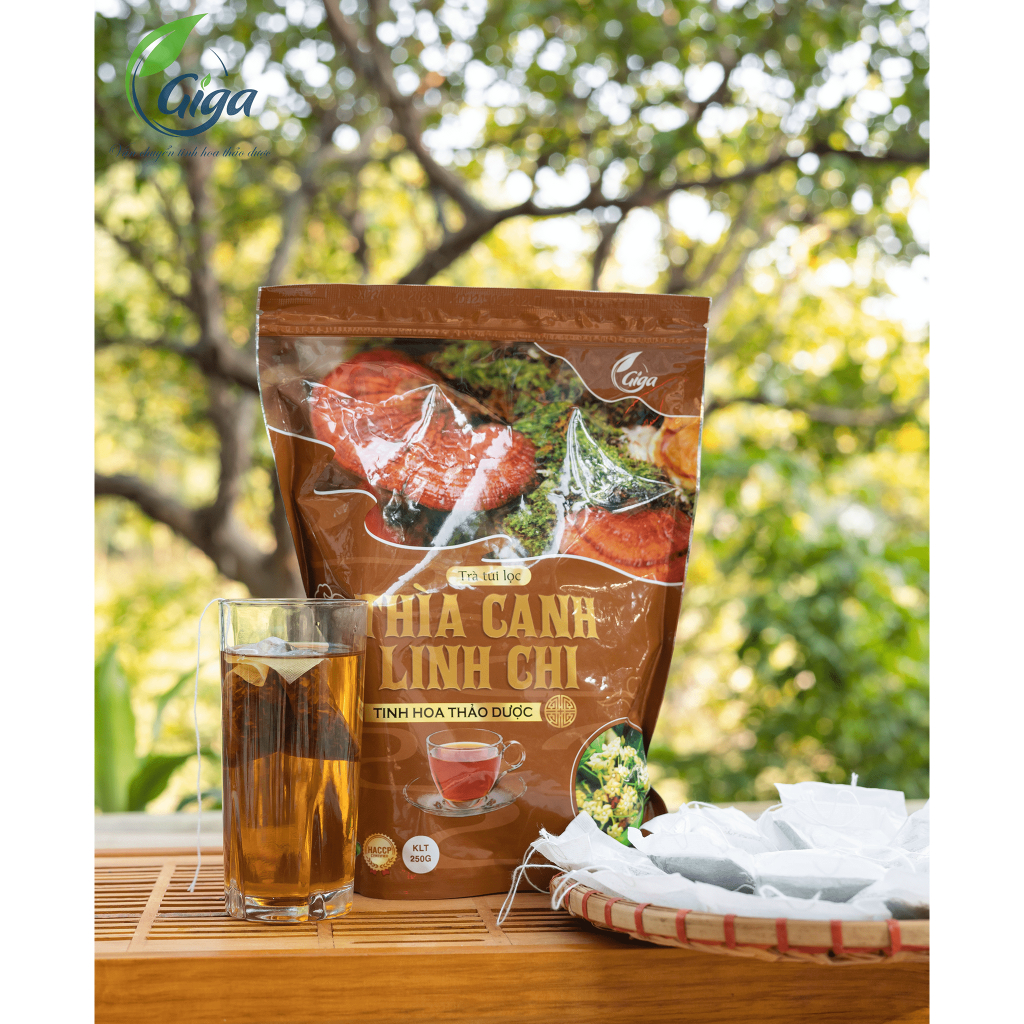 Trà túi lọc Thìa Canh Linh Chi Gigaherbs - hỗ trợ ổn định đường huyết, tăng cường khả năng miễn dịch túi 250g (60 túi)